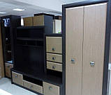 Вітальня Петио МДФ (Гербор /Gerbor) 3100х520х2000мм, фото 4