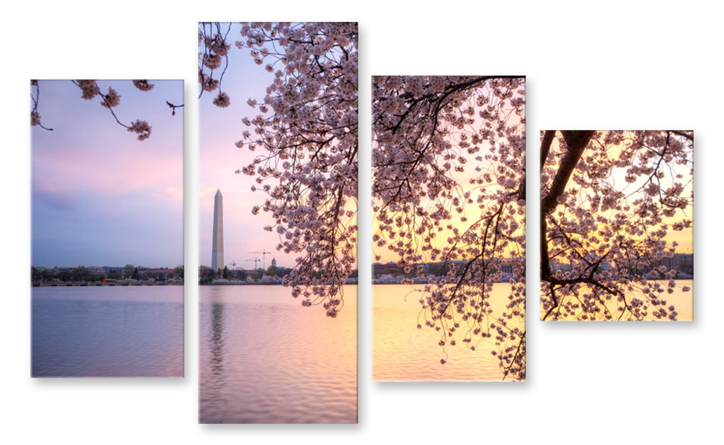 Модульна картина дерево над водою, фото 1