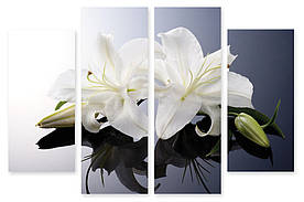 Модульна картина біла квітка