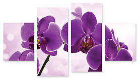 Модульна картина фіолетова орхідея