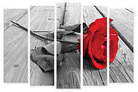 Модульная картина красная роза