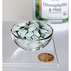 Swanson Chlorophyllin & Mint хлорофіл і м'ята, жувальні таблетки 500 таб, фото 2