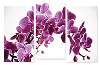 Модульная картина нежно фиолетовая орхидея