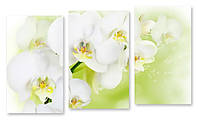 Модульная картина белая орхидея 3d