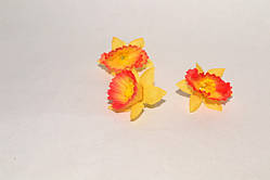 Головка нарцис міні