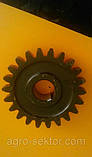 Шестерня Z=22 привідна в'язального апарату на прес-підбирач Famarol Z-511 8245-511-006-390 5511/00639 8245511006390 551100639, фото 5