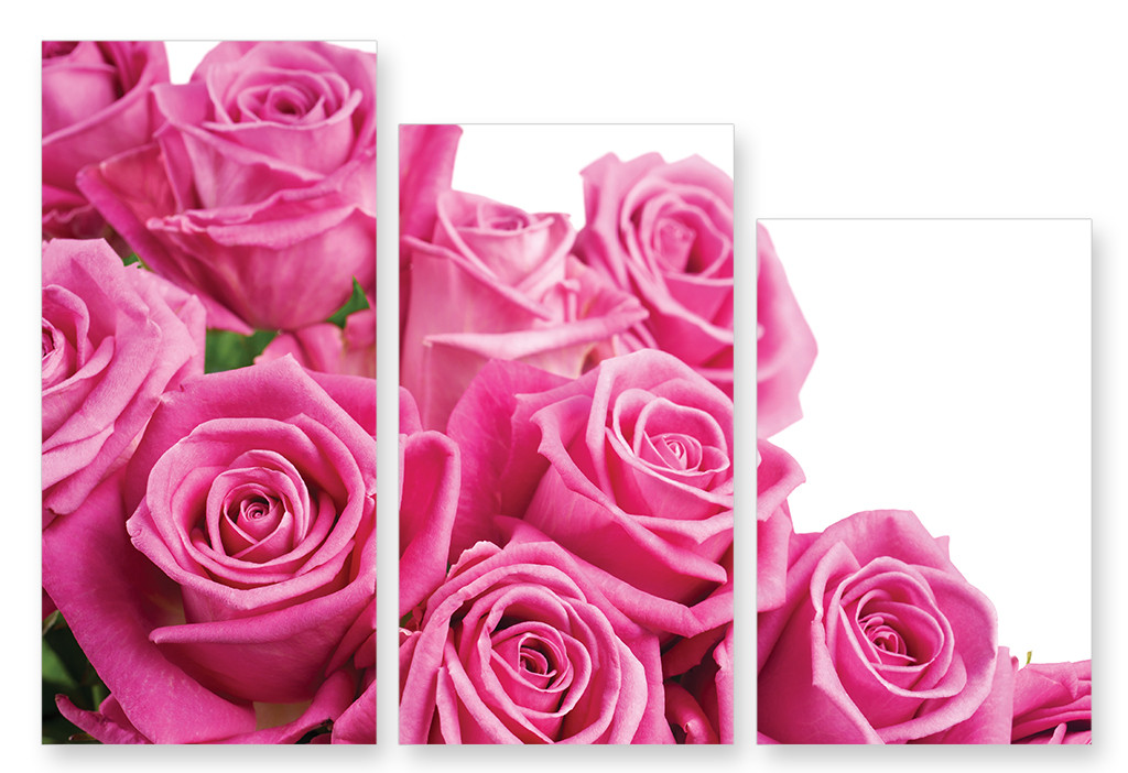 Модульная картина большие розовые розы - фото 1 - id-p598056616
