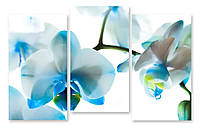 Модульная картина нежно голубые цветы