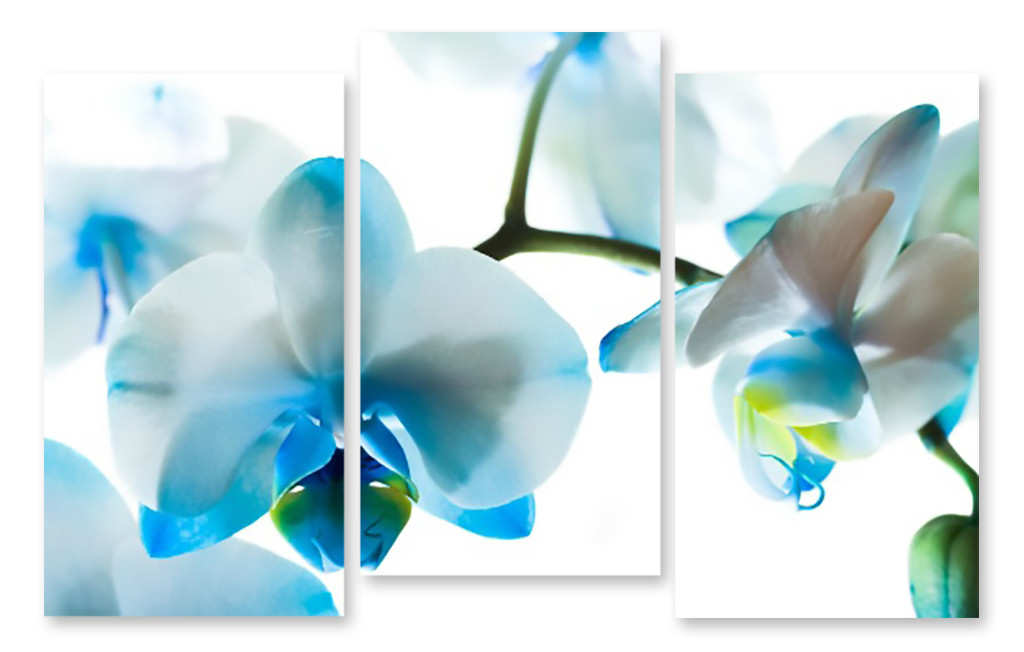 Модульная картина нежно голубые цветы - фото 1 - id-p598079078