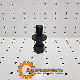 Храповик колінчастого ЮМЗ посилений Д03-009А2, фото 2