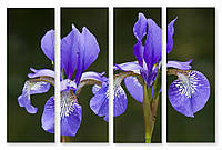Модульная картина макро голубые цветы