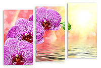 Модульная картина вода и фиолетовая орхидея