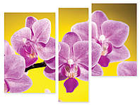 Модульная картина орхидея на желтом фоне