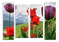 Модульная картина тюльпаны и горы