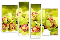 Модульна картина лимонна орхідея