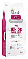 Brit Care (Брит Кеа) JUNIOR LARGE BREED Lamb & Rice — корм для цуценят великих порід 12 кг