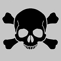 Вінілові наклейки " Череп " 11х15 см