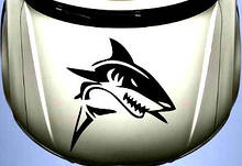 Виниловая наклейка на авто - на капот(акула) (цена за размер 50*50 см)