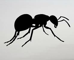 Вінілові наклейки на авто " Мураха " 12х20 см