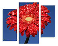 Модульная картина большой красный мокрый цветок