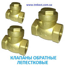 Клапани зворотні пелюсткові