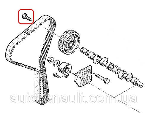 Болт шестерни распредвала Рено Трафик 01-> 1.9dCi. RENAULT (оригинал) 7703101455 - фото 6 - id-p26093687