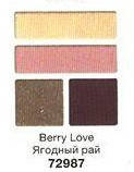 Тени для век "Чудесный квартет" Avon True, цвет Berry Love, Ягідний рай , Эйвон, 4-х цветная палитра