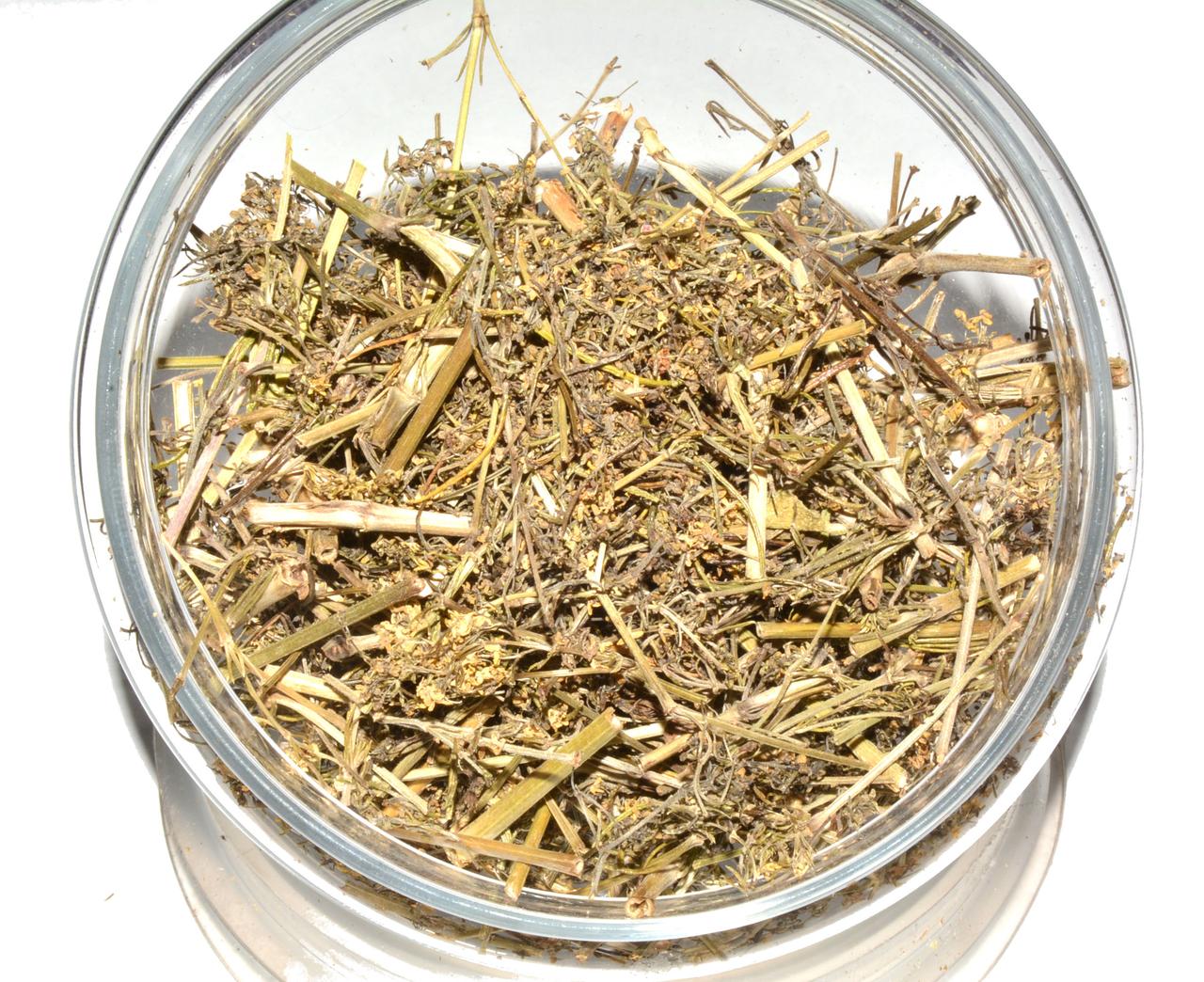 Підмаренник справжній трава (підмаренник жовтий)