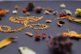 Лікувальні смоли, пилок та гриби