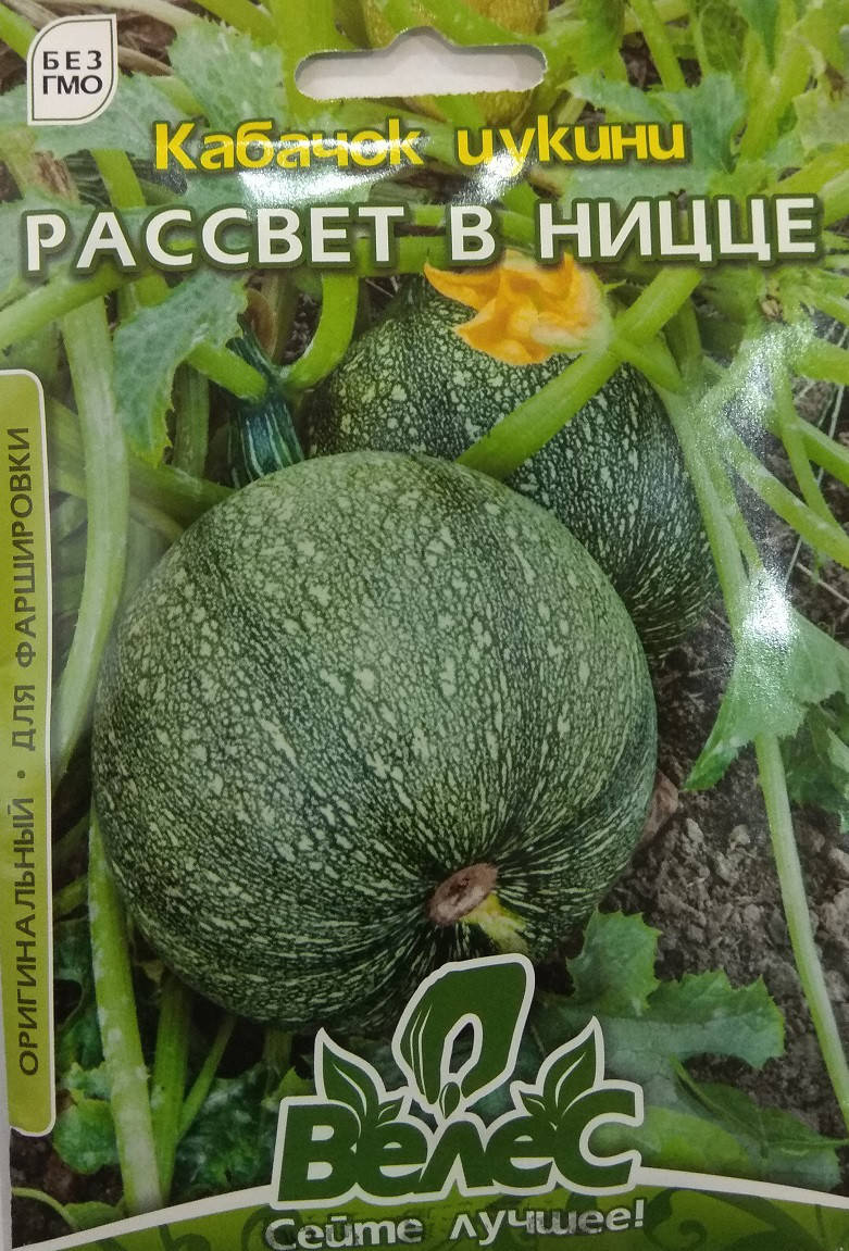 

Семена кабачка Рассвет в Ницце 15г ТМ ВЕЛЕС