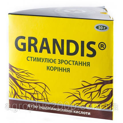 Стимулятор коренеутворення Укорінювач Грандіс (Grandis) 50 грамів Восор, фото 1