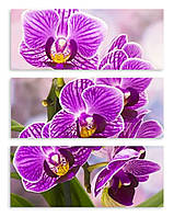 Модульная картина фиолетовые орхидеи 3д