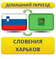 Домашній переїзд зі Словенії в Харків