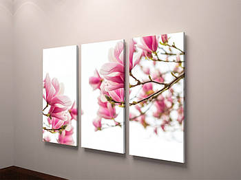 Картина модульна рожеві квіти магнолії друк на полотні 90х60 из3-х частин