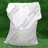 Діамофоска NPK 6:18:34+2S від BelFert 25кг, Київ Святошино, фото 2