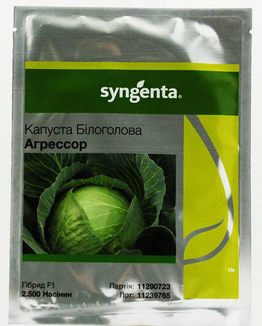 Насіння Капуста Агресор F1 Agressor F1 2500 н ПрофПакет Голандія, Syngenta, фото 1
