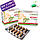 Хітозан +. Дезінтоксикація організму Choice (Чойс), фото 5