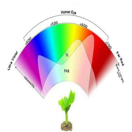 Светодиод для растений (Фитосветодиод) LED 35Вт 900mA 30-36V - фото 6 - id-p854841452