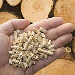 Що горить краще: дрова чи пелети?