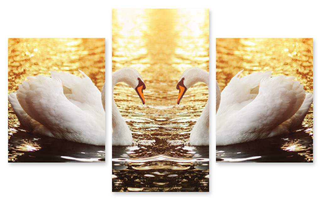 Модульная картина лебеди в озере - фото 1 - id-p600076179