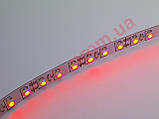 Светодиодная лента SMD 3528 (60 Led/метр) 12 вольт, цвет красный, фото 2