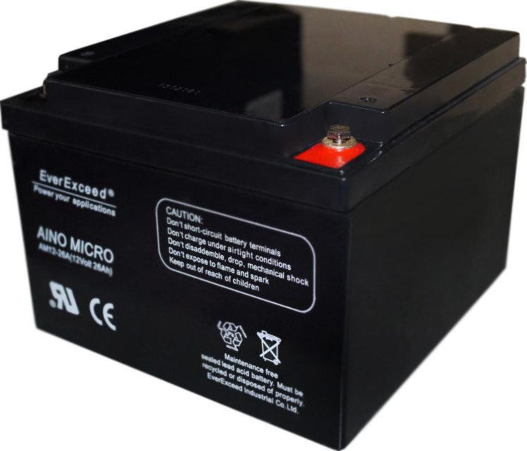 Акумулятор EverExceed AM 12-26, фото 1