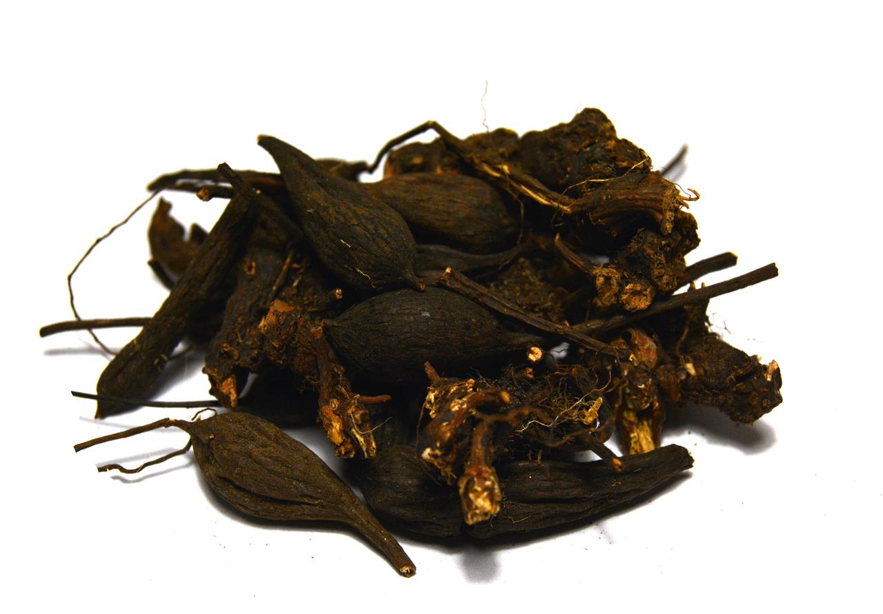 Гадючник в'язолистий корінь (таволга, гадючник), фото 1