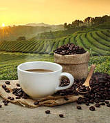 Органічна кава