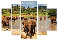 Модульная картина слоны на водопое