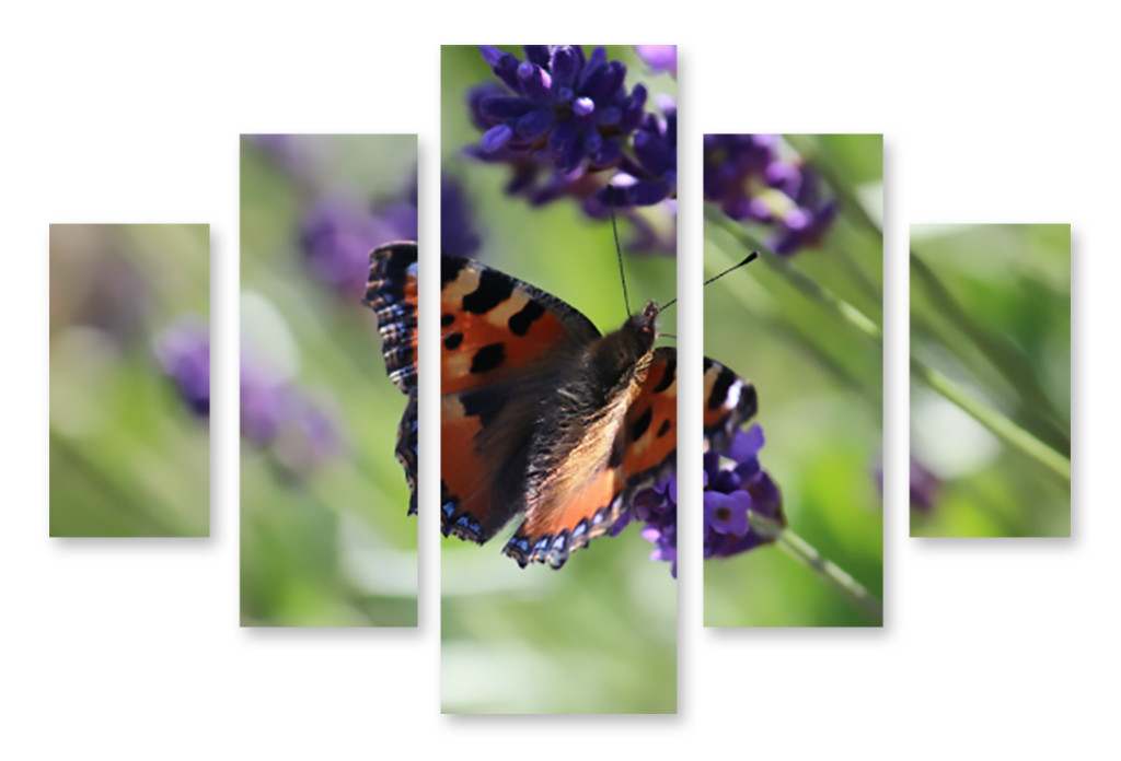 Модульная картина цветок и бабочка 3д - фото 1 - id-p601056835