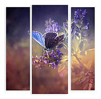 Модульная картина 3д голубая бабочка