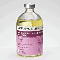 Канамицин 25% 100мл Альфасан