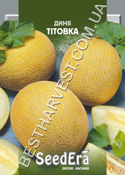 Насіння дині «Тітовка» 10 г