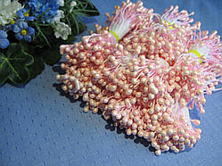 Тичинки глянсові. Колір ніжно рожевий. 100 ниток — 200 головок